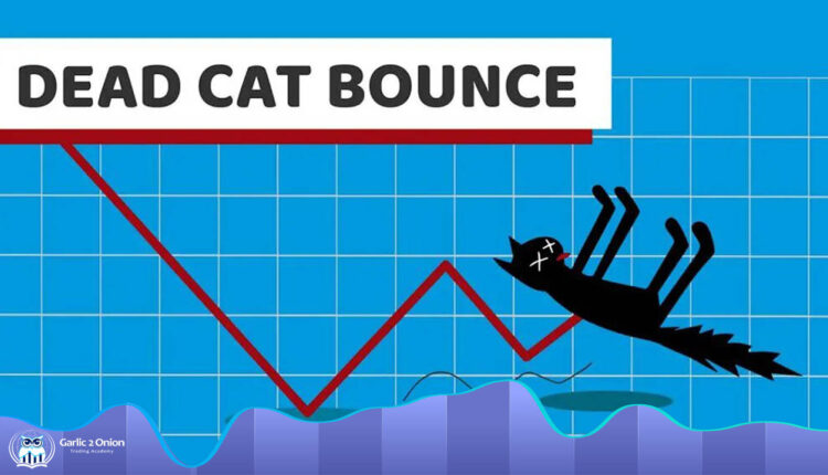 الگوی جهش گربه مرده Dead Cat Bounce