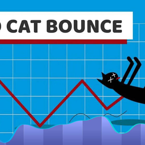 الگوی جهش گربه مرده Dead Cat Bounce